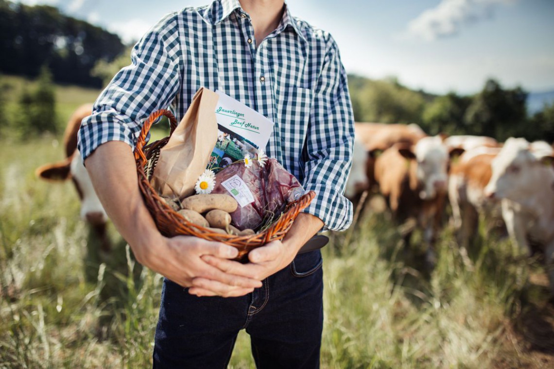 Ein Korb voller Produkte in H&auml;nden gehalten auf einer Wiese mit K&uuml;hen