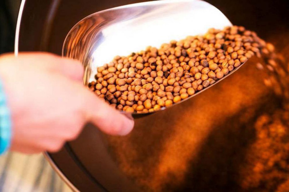 Lupinenkaffeebohnen auf Schaufel