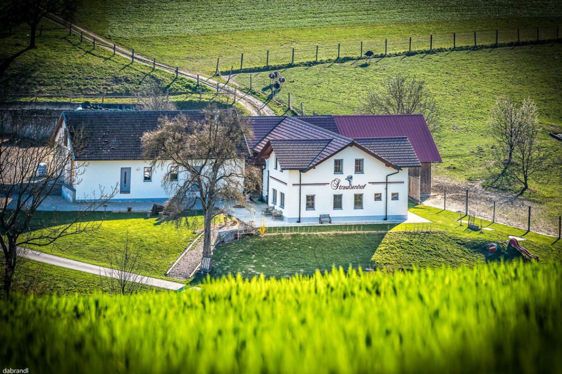 Haus Aufnahme vom Strau&szlig;enhof Halmer