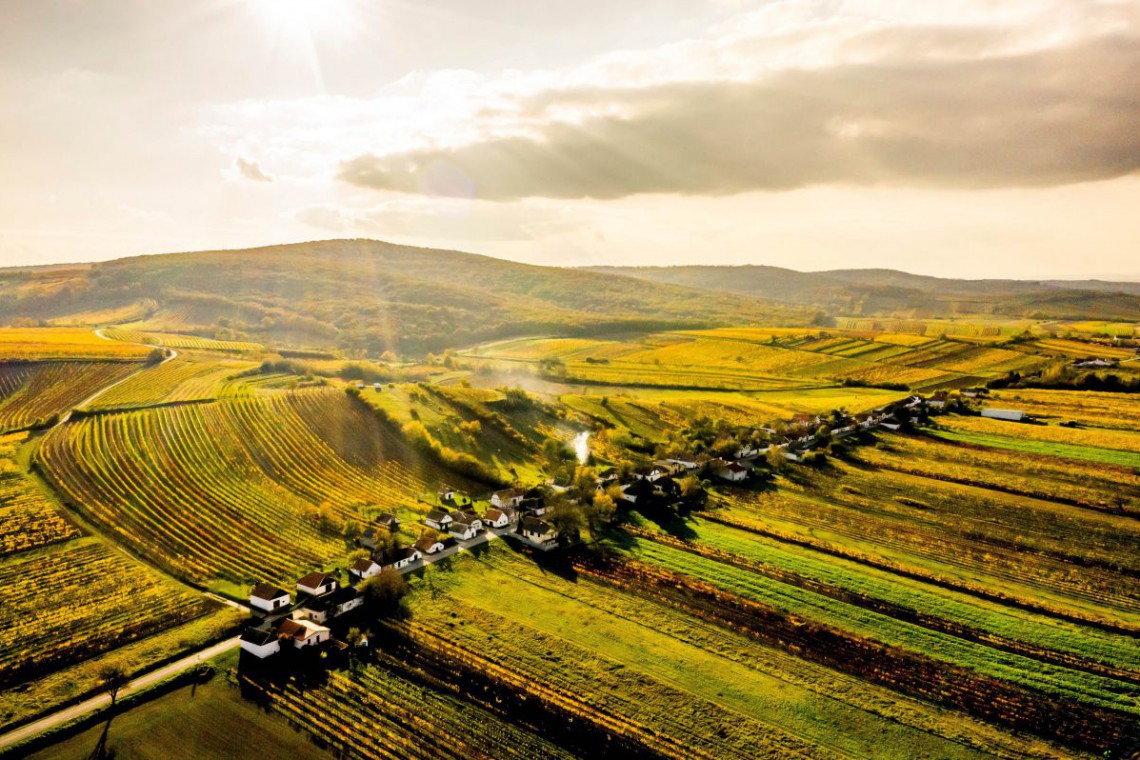 Drohnenbild von Weingarten Landschaft