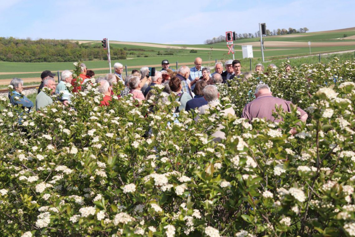 Besucher im Aroniafeld