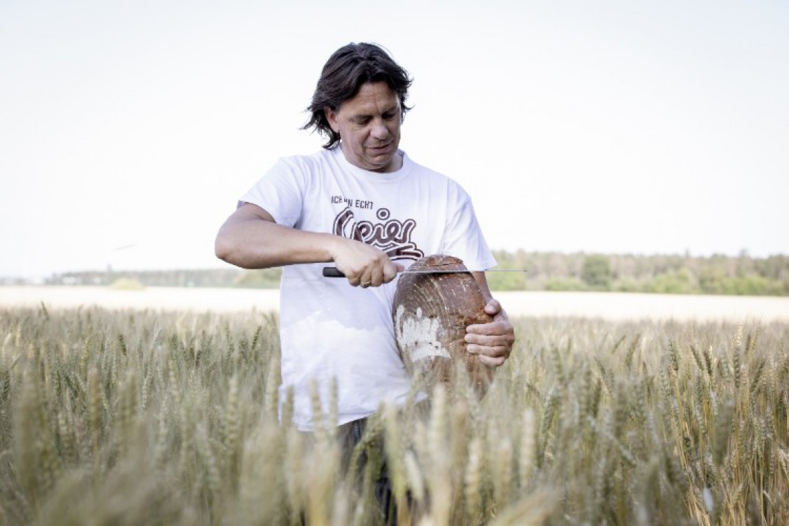 Geier die Bäckerei im Feld