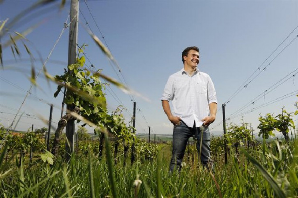 weingut auer weingarten (klein)