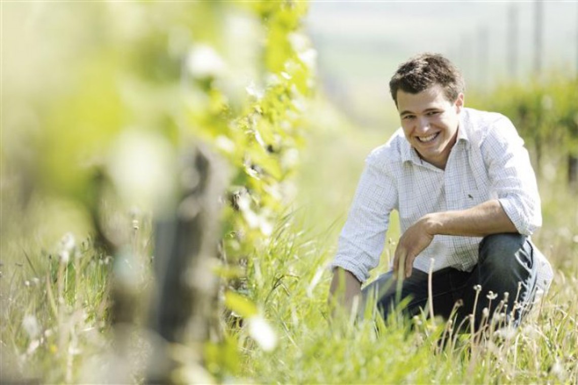 weingut auer weingarten 2 (klein)