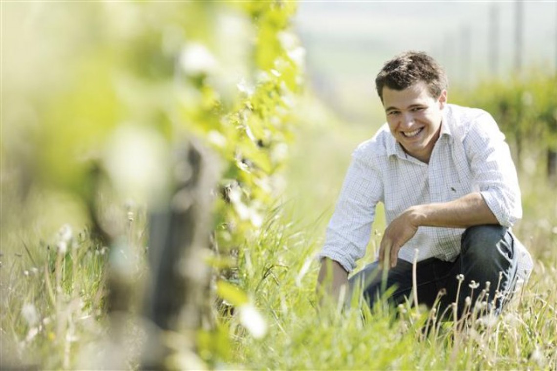 Michael Auer im Weingarten