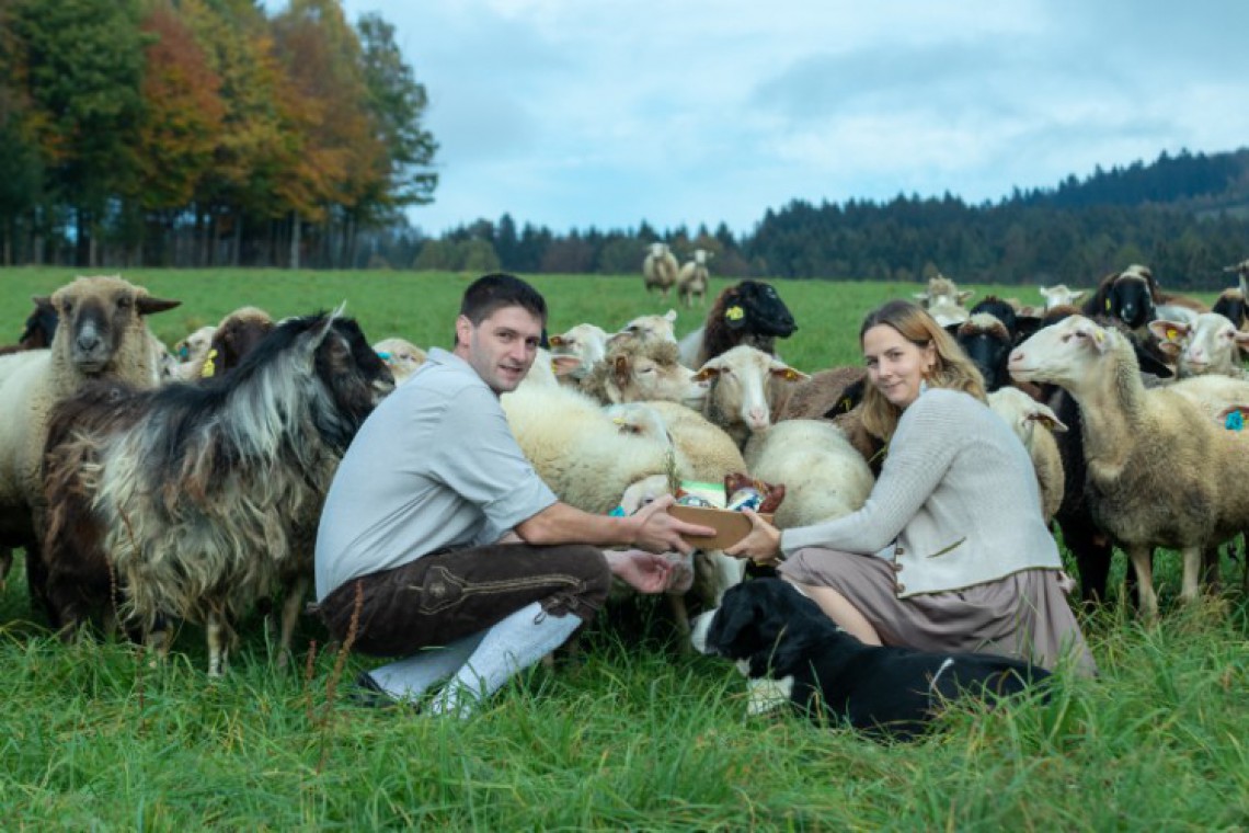 Schafe auf der Wiese mit den Besitzern