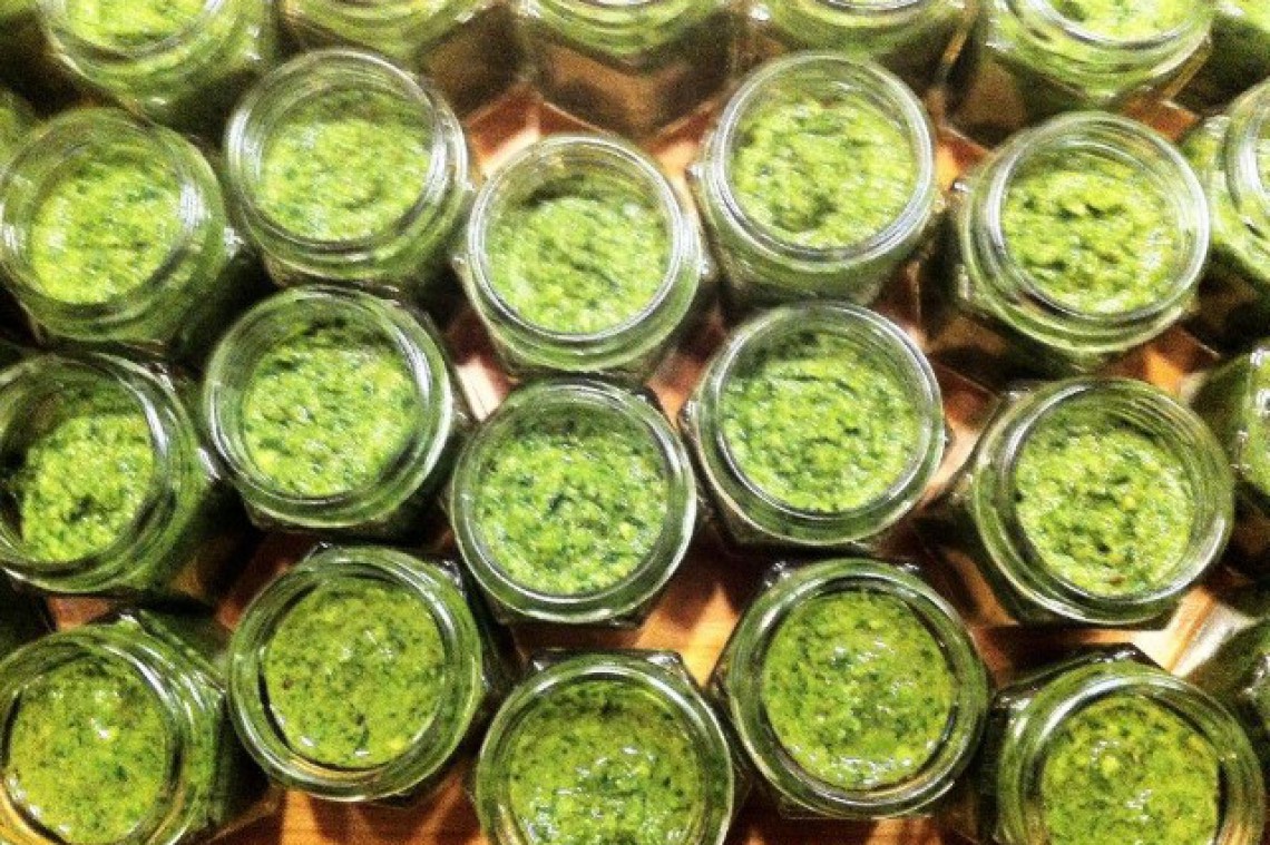 Purgenuss Pesto