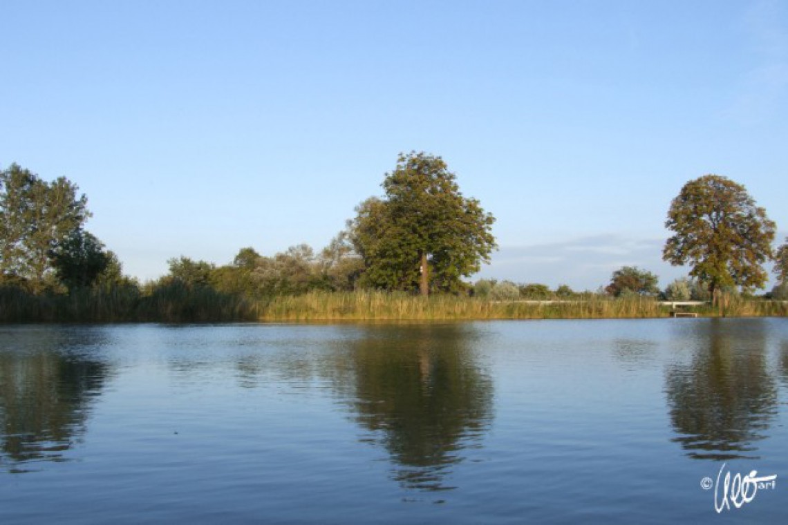 Gut Dornau Fischteich