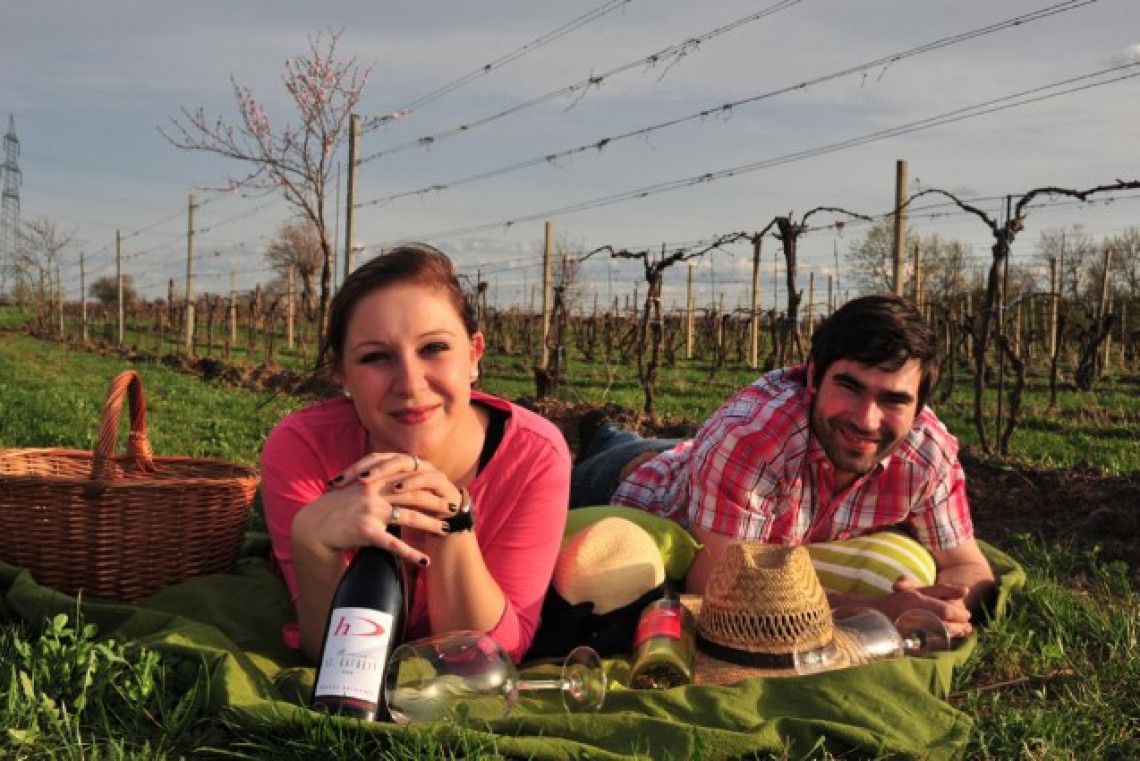 Weingut Dachauer Picknick im Weingarten