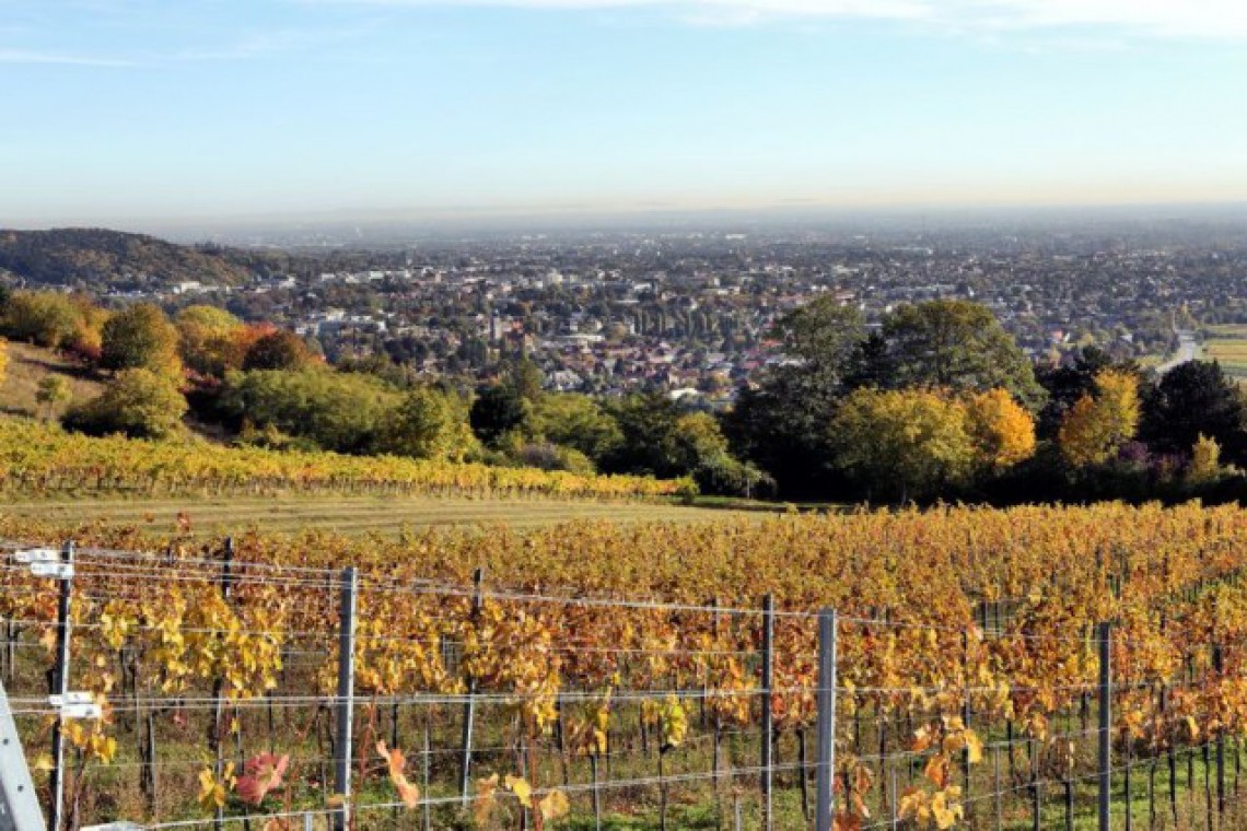 Weingut Schlossberg Weingarten