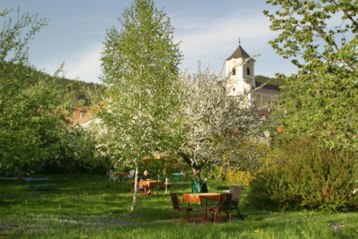 Garten des Gasthofes Grüner Baum