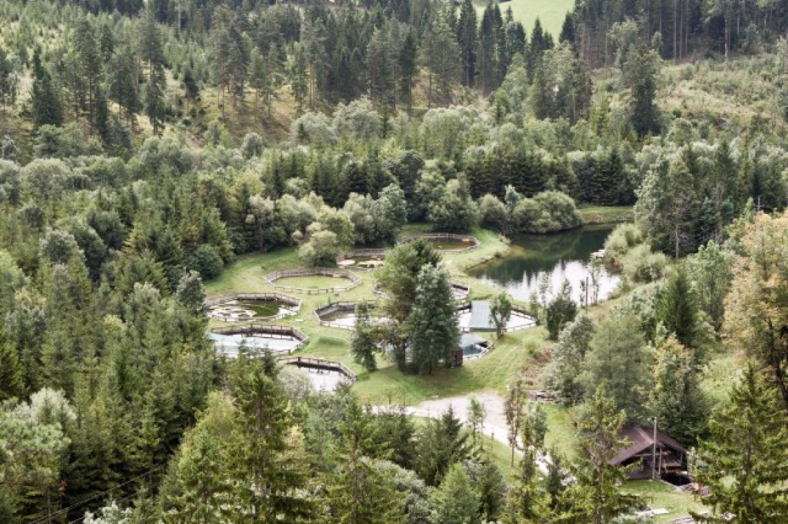 Heinisch Luftbild von den Teichen