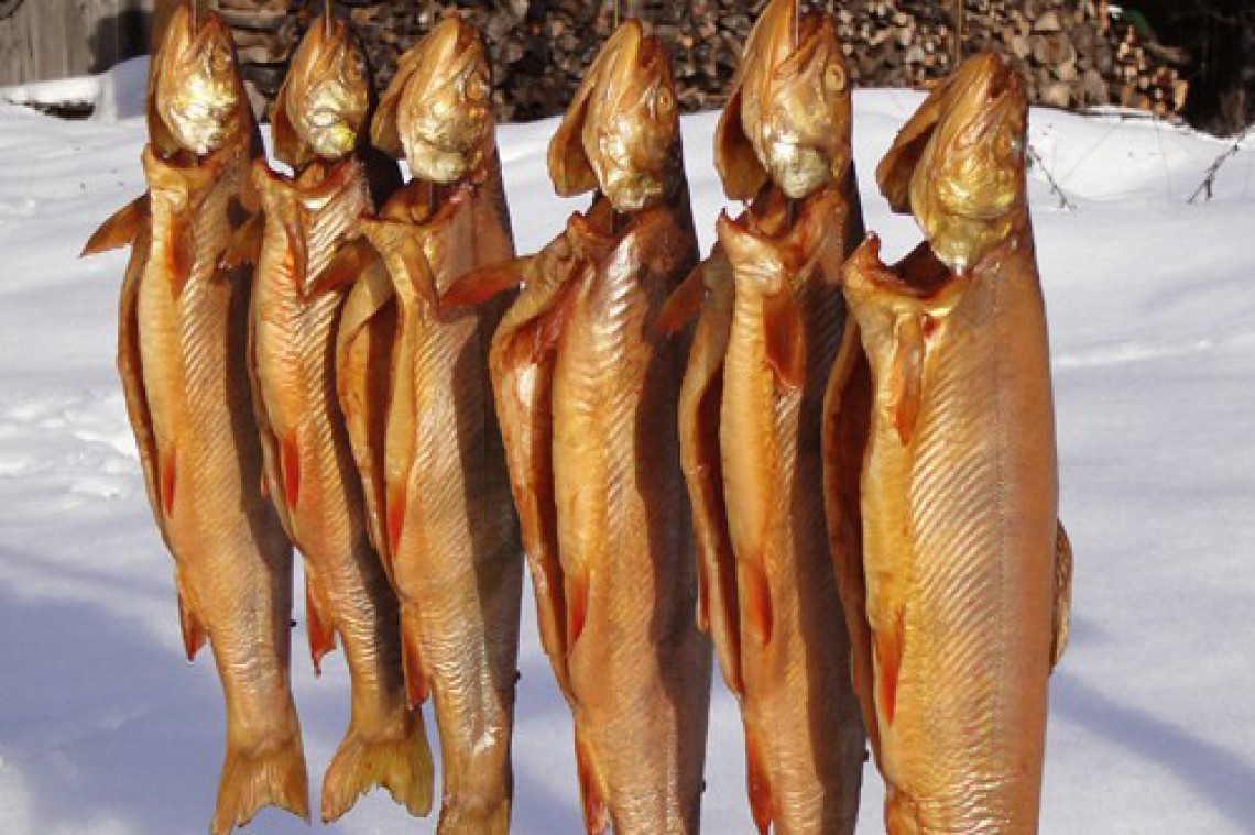 Bio Fischzucht Zöchling Gersaibling