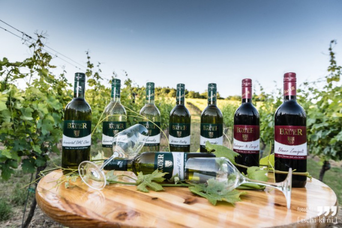 Weingut Bauer Sortiment