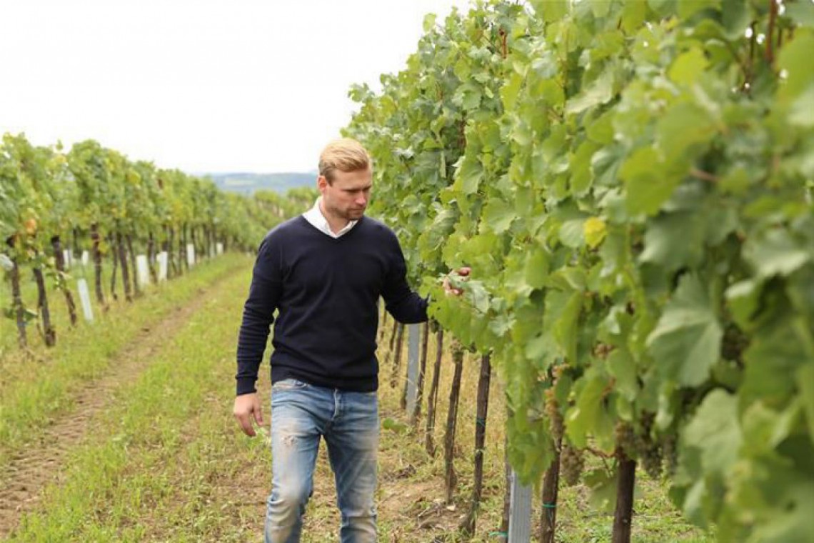 Weingut Wöber Martin im Weingarten