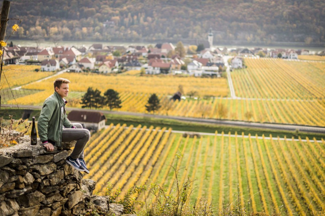 Weingut Gattinger Weingarten