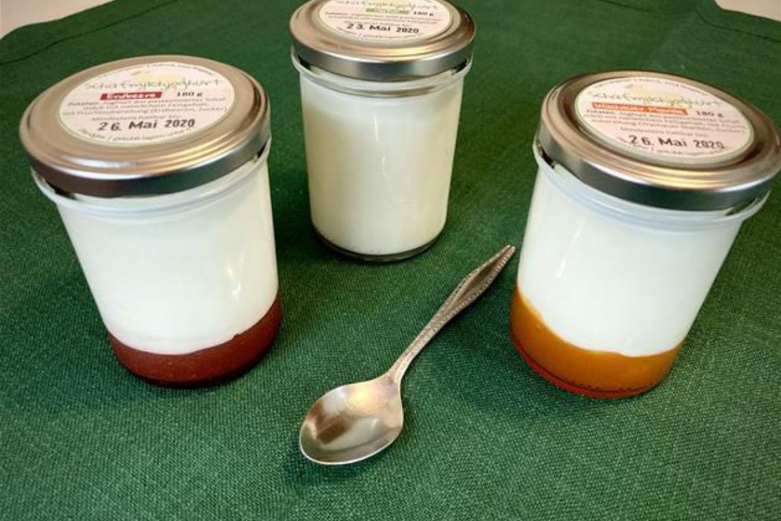 Schafmilch Schmankerl Langeder Joghurt