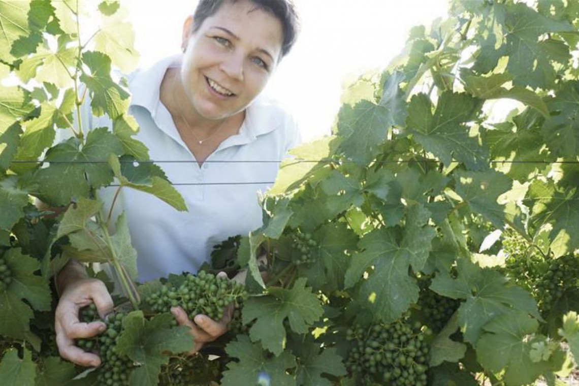 Weingut Heger und Poysdorfer Essig und Senf Simone Schuckert zwischen Weinstöcken