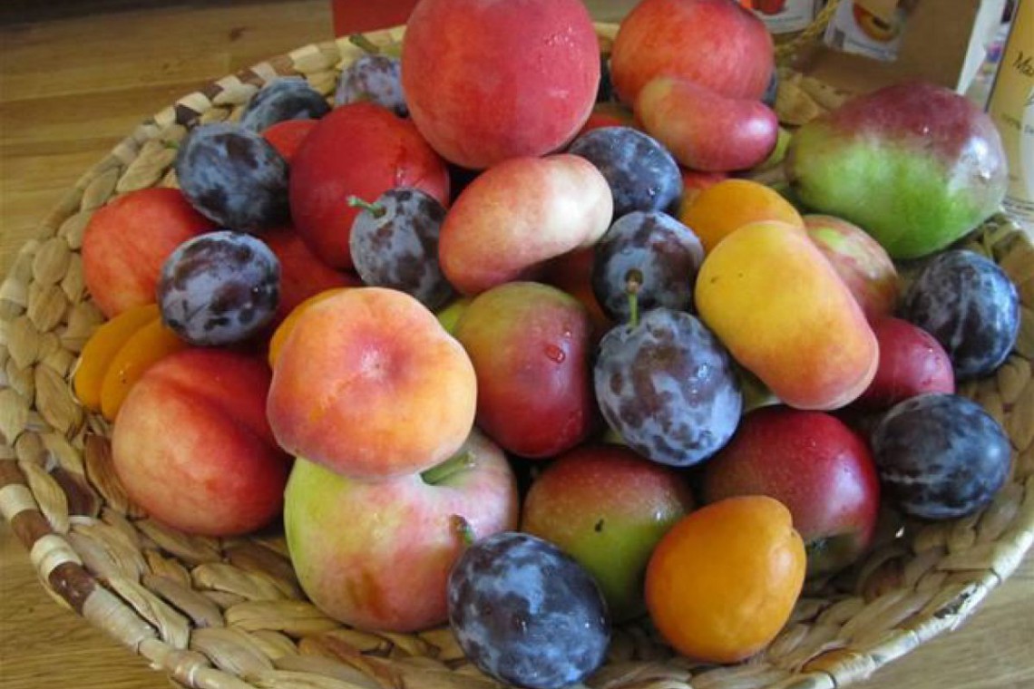 Obstkorb mit verschiedenen, saisonalen Früchten