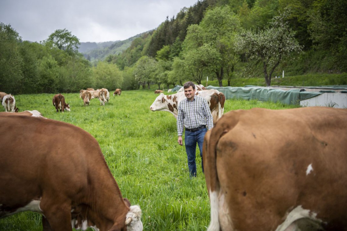 Biohof Losbach Michael und seine Tiere