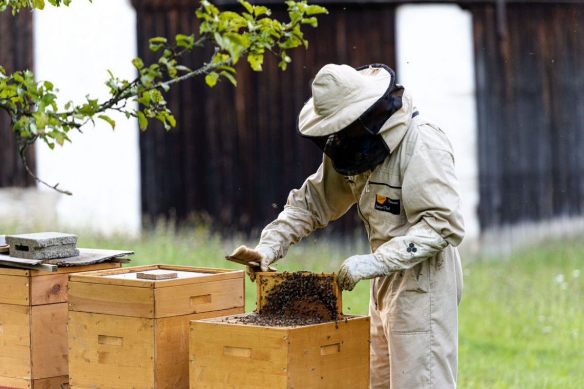 Imkerei Stögerer Bienenstock