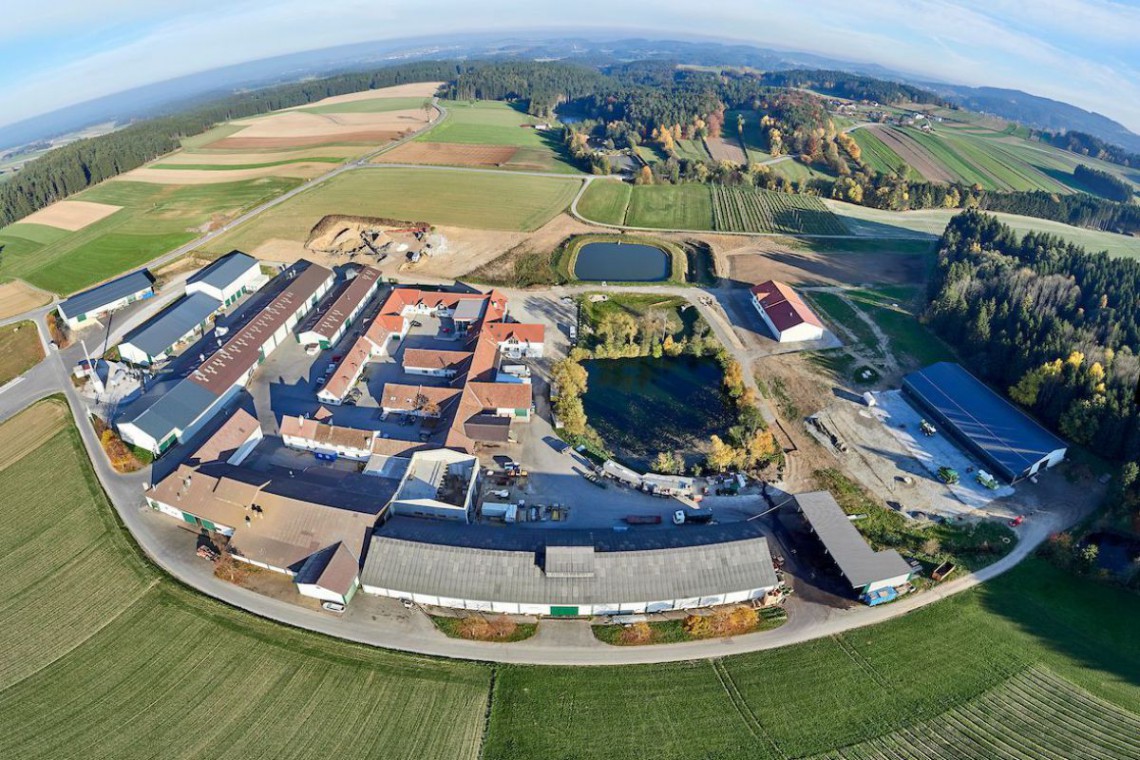 Waldland Panoramaaufnahme