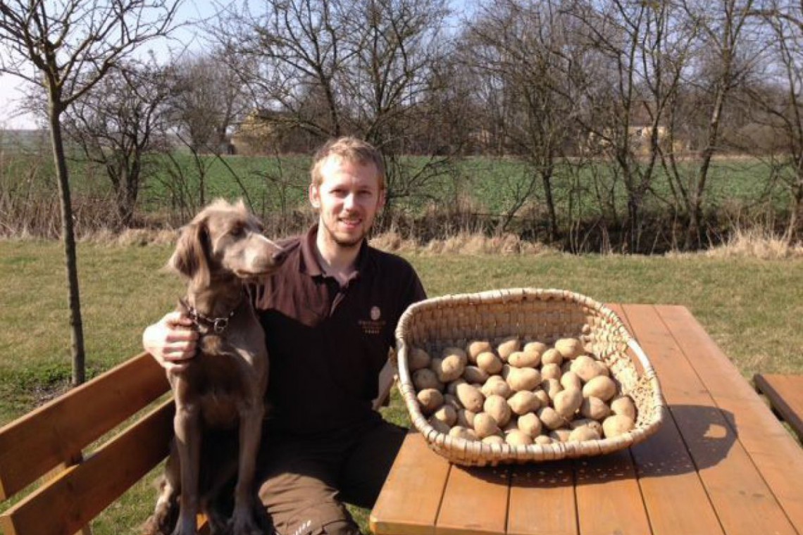 Bio Kartoffel Niedermayer Lukas