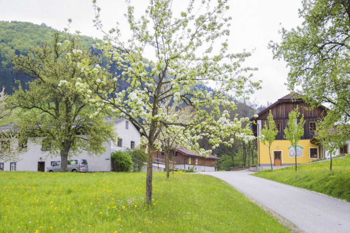 Adelsberger Hof