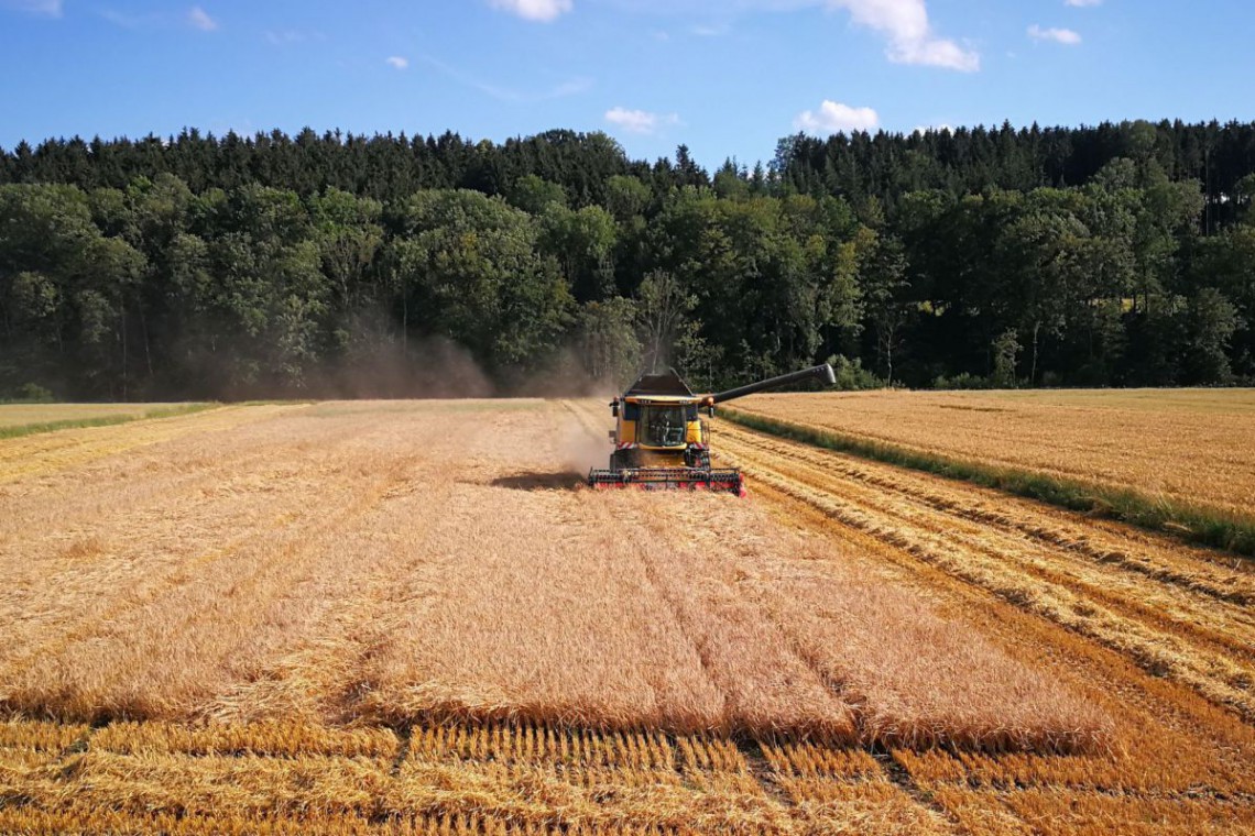 Bierkanter erste Braugerste