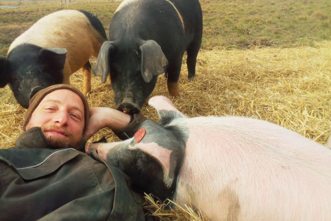 Harbich's BioHofladen im Schweinestall