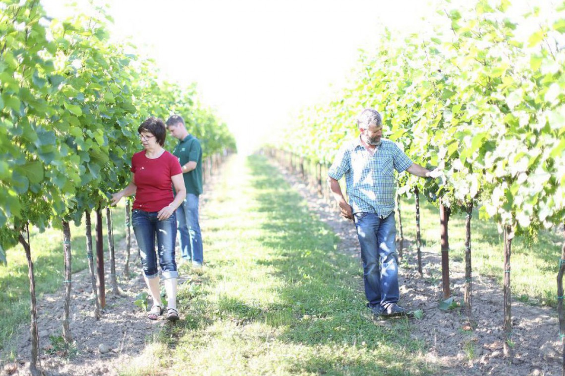 Familie Wiesinger im Weingarten