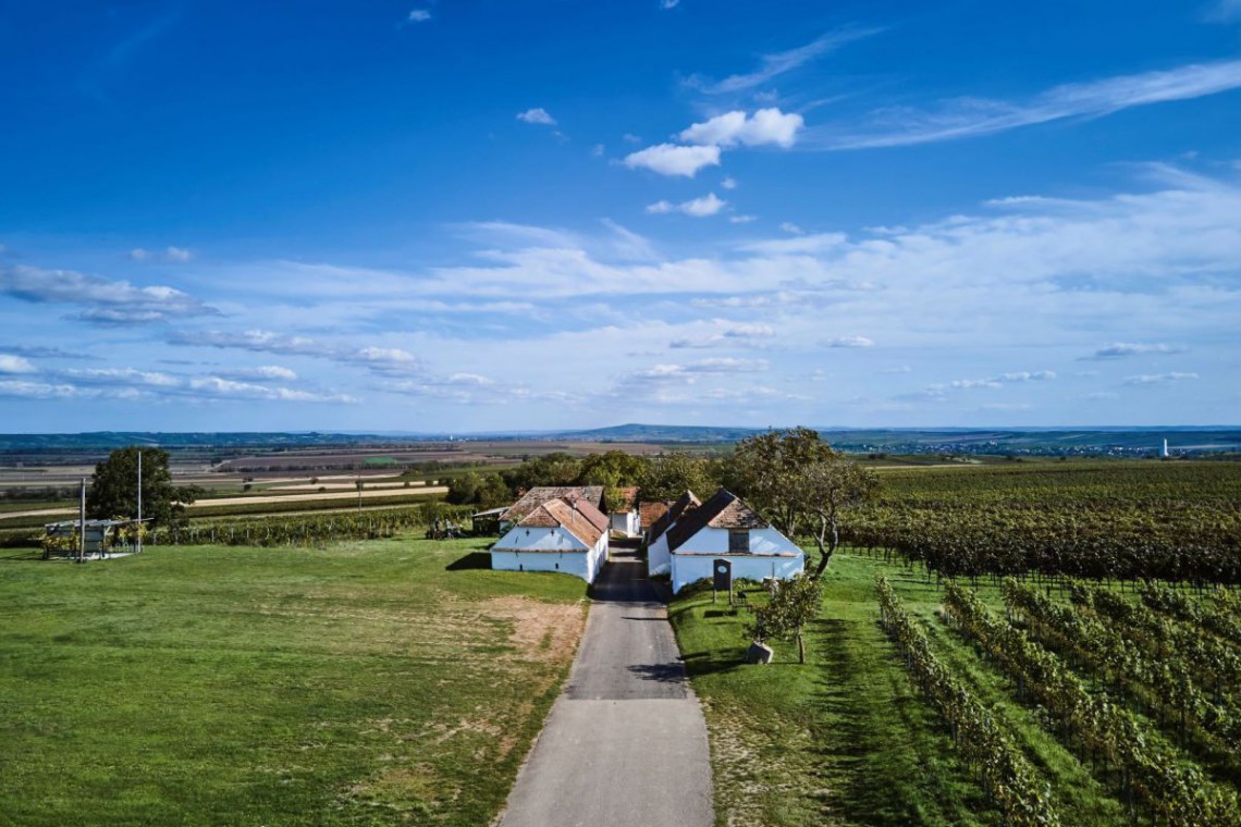 Weingut Schüller aus weiter Entfernung