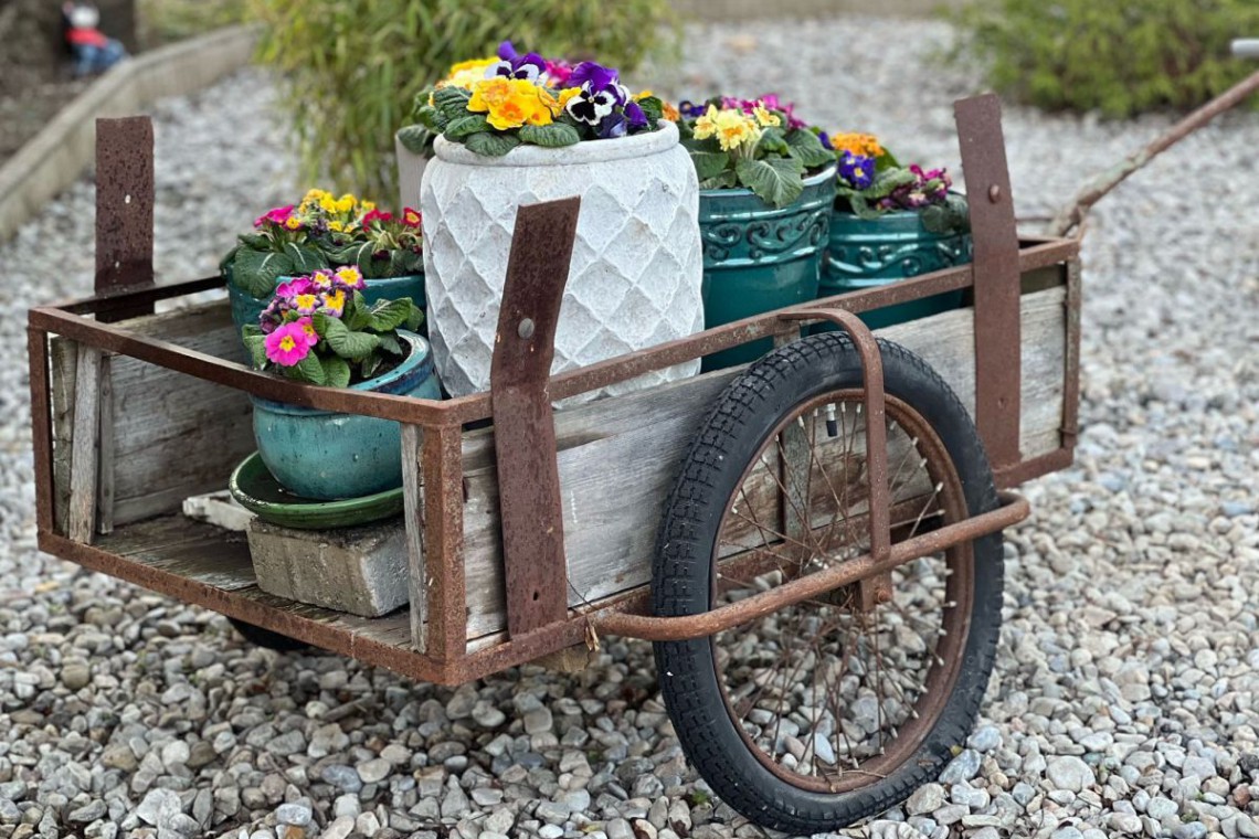 Gefl&uuml;gelhof Scheibenreif Blumenwagen