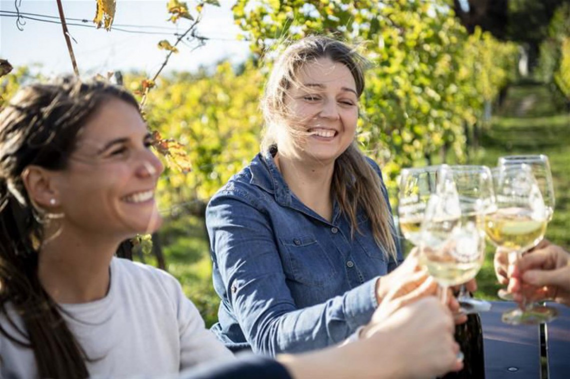 Frauen stoßen mit Glas an 