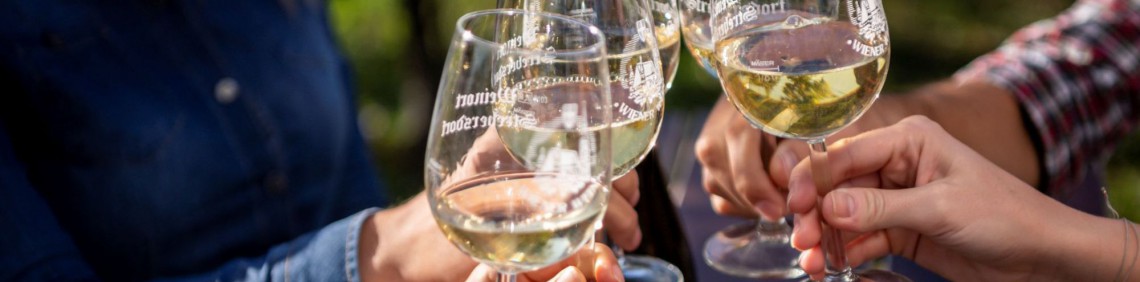 Freude beim Weintrinken ist bei Veranstaltungen und Festen garantiert. Unter aufzumwein.at finden Sie sie!