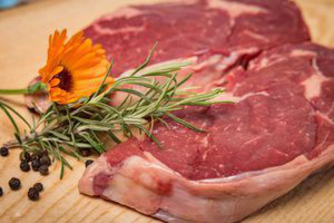 MEAT THE FUTURE - Einladung zum Fleischtechnologietag 2023.