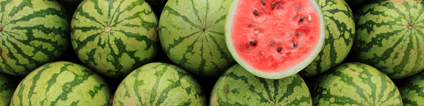 jumboslider_melonen