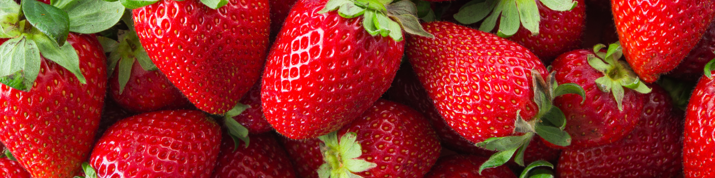 erdbeeren-jumboslider