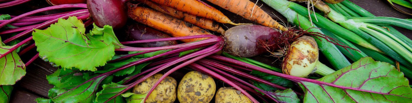 Knollen- und Wurzelgem&uuml;se