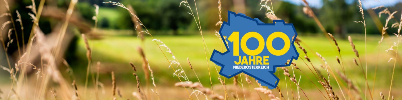 Landschaftsbild mit dem Logo 100 Jahre Niederösterreich darauf