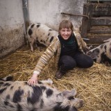 Bild anzeigen: Penner Turopolje Schweine im Stall