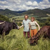 Bild anzeigen: Familie Penner mit Wagyu Rindern auf der Weide  