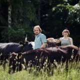 Bild anzeigen: Familie Penner mit Wagyu Rindern vor Wald