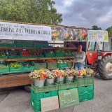 Bild anzeigen: Biohof Osterer Marktstand mit Traktor