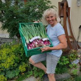 Bild anzeigen: Christa Eppensteiner mit einer Kiste Jungzwiebel