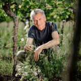 Bild anzeigen: Bio Weingut Hofer, Herr Hofer im Weingarten