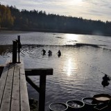 Bild anzeigen: Hofbauer Karpfenteich im Abendlicht