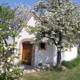 Bild anzeigen: Kohlfock,Kellergassenhaus mit blühenden Apfelbäumen