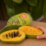 Bild anzeigen: Erla Exoten, Pawpaw Frucht aufgeschnitten