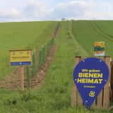Bild anzeigen: img_5813